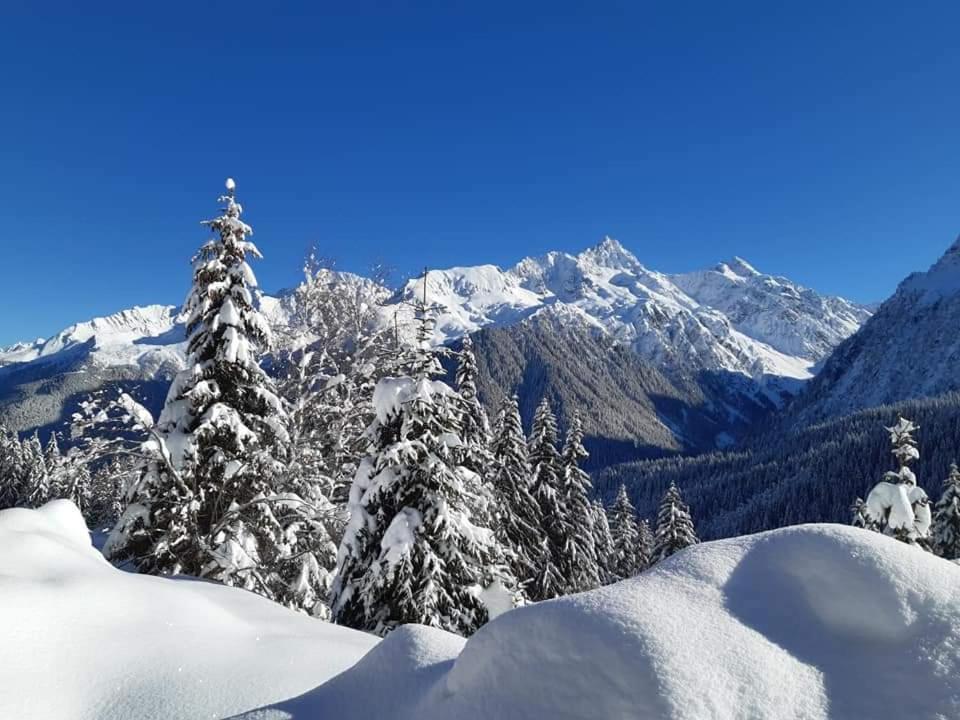 Superbe Studio Aux 7 Laux La Ferrière Kültér fotó