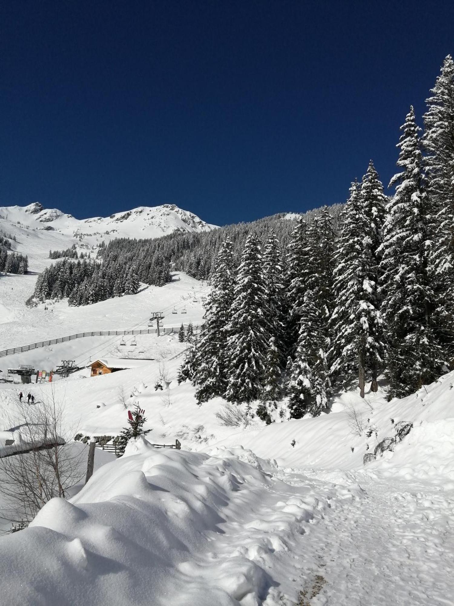 Superbe Studio Aux 7 Laux La Ferrière Kültér fotó