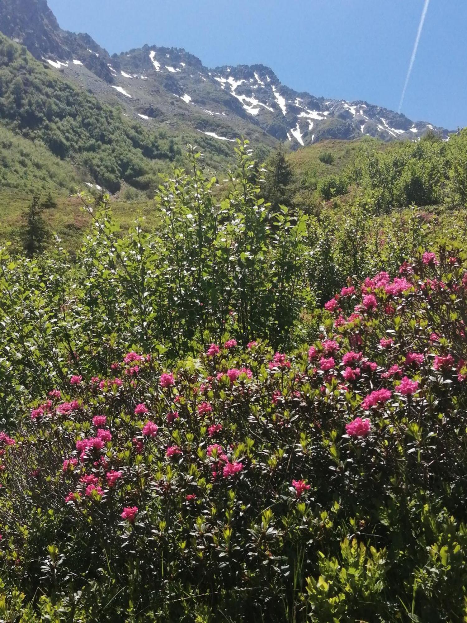 Superbe Studio Aux 7 Laux La Ferrière Kültér fotó